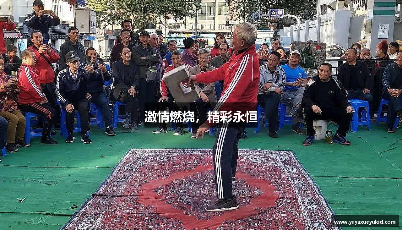 BB贝博激情燃烧，精彩永恒